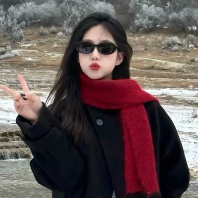 刑事侦缉档案2国语